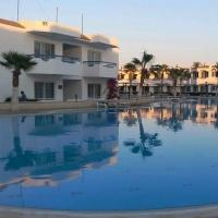 Отзыв о Dreams Vacation Rasort Sharm El Sheikh 5* (15.11.14 - 22.11.14)
