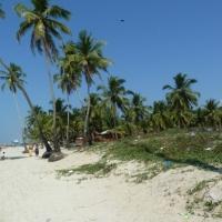 Отзыв об отдыхе в Индии, Alagoa Resort 2*