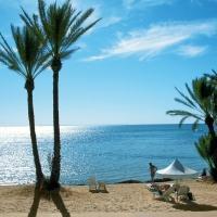 Отзыв об отдыхе в Тунисе, GREEN PALMS DJERBA 4 *