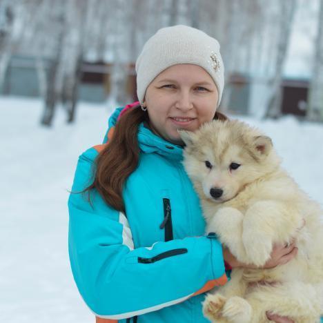 В гостях у хаски