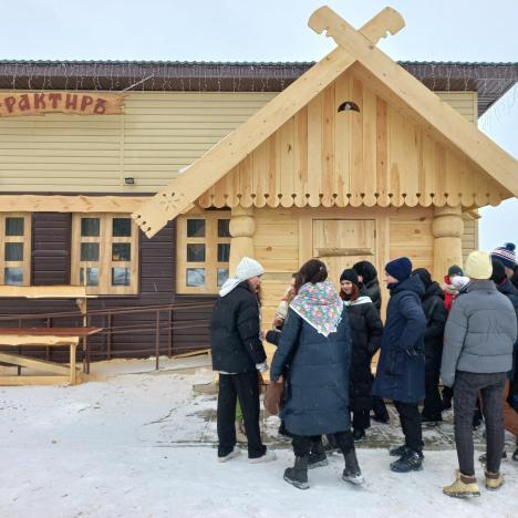 ИЗБУШНИК В НОВОГОДНЕЙ ТЕМАТИКЕ НА СЕЛЕ