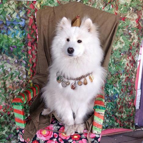 Координаты доблести