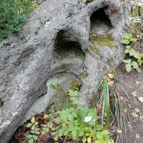 Загадки Каменного острова