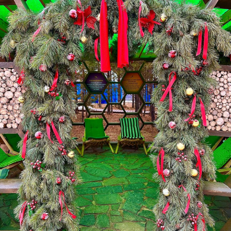 Медовый Новый Год