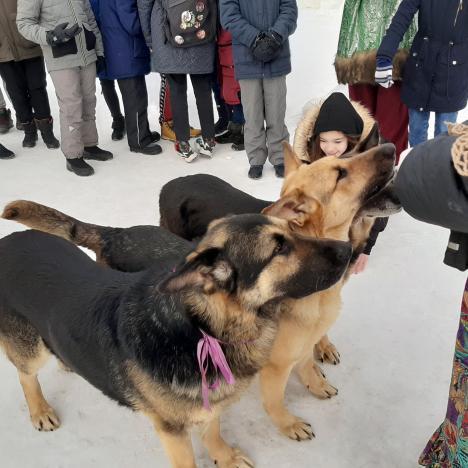 Масленица с хвостом