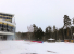 Уикенд в лесу: Природа и комфорт