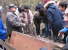 По изумрудной тропе