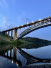 По реке сквозь время